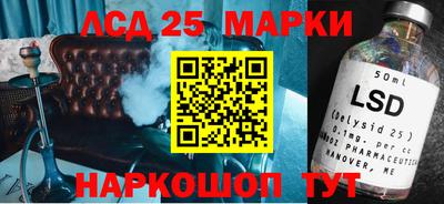 гидропоника Гусь-Хрустальный